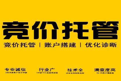 SEM优化师实战：助力企业实现低成本高回报